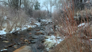 Coal Creek Colorado - Early Winter